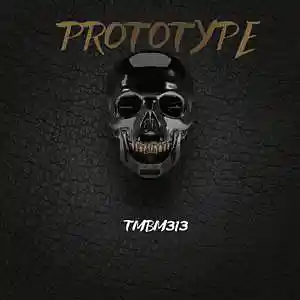 Picture for song 'Prototype' by artist 'TMBM313'