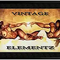 Picture for song 'A BETTER WORLD' by artist 'VINTAGE ELEMENTZ ONLINE'