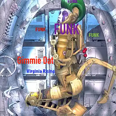Picture for song 'Gimmie Dat Funk' by artist 'VIRGINIA RISING'