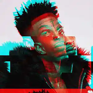 Picture for song 'SAVAGE LIFE 6-594' by artist 'ARN BEATS'