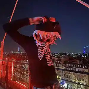 Picture for song 'Lunar moon' by artist 'Bazzan'