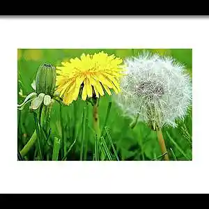 Picture for song 'Life Comes & Goes' by artist 'CHRISTIAM DISCIPLE'