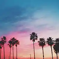 Picture for song '*NEW* Summer Vibes (FREE D/L)' by artist 'Dope Orchestra'