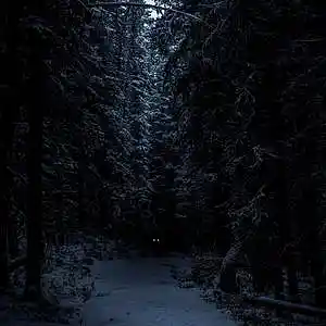 Picture for song 'PowerWolf - Minimal Techno Beat' by artist 'HiDub Beats'