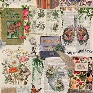 Picture for song 'Queen' by artist 'Jerry Beatz'