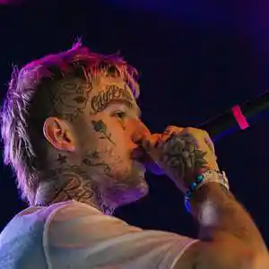 Picture for song '(FREE) "RIOT" - Lil Peep X Juice WRLD Type Beat' by artist 'KIDMONKEY'
