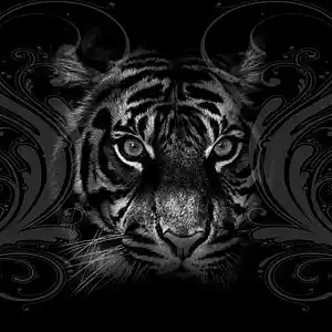Picture for song 'Das Auge des Tigers' by artist 'MicLandtheLyrics'
