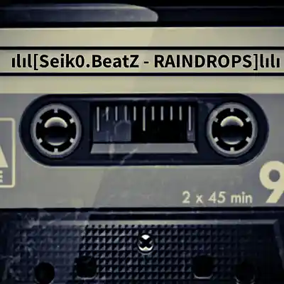 Picture for song 'Seik0.BeatZ - RAINDROPS' by artist 'Seik0.BeatZ'