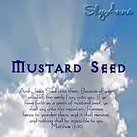 Picture for song 'Mustard Seed' by artist 'ShyAnne Mailen'