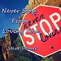 Picture for song 'Never Stop From Loving You' by artist 'Steve Domer'