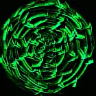 Picture for song '(Knowing) But Not Knowing Why' by artist 'TheForgotton'