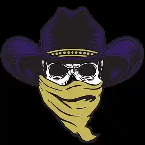 Picture for song 'bandit' by artist 'Timothy's beats'