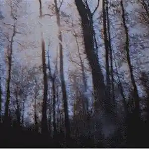 Picture for song 'Flaws in Reality ($B x Devilish Trio type beat)' by artist 'Vinci Bone Beats'