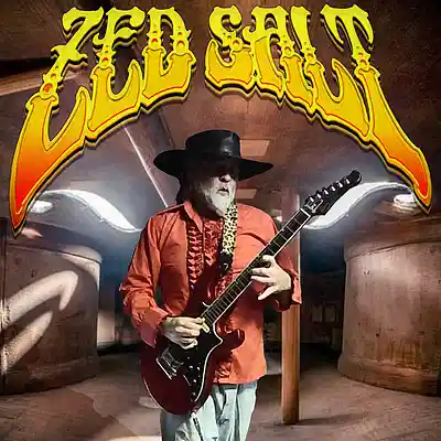 Picture for song 'Palling in the Pall' by artist 'Zed Salt'