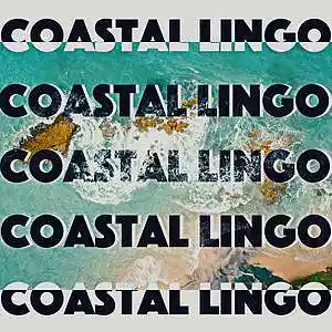 Picture for song 'COASTAL LINGO' by artist 'Bashiri Beat It'