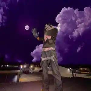 Picture for song 'Destruction' by artist 'Bazzan'