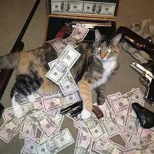 Picture for song 'Cactus Kick' by artist 'EmoIsOver'