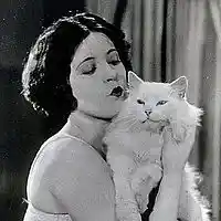 Picture for song 'Daisy Chain' by artist 'Graham's Cat'