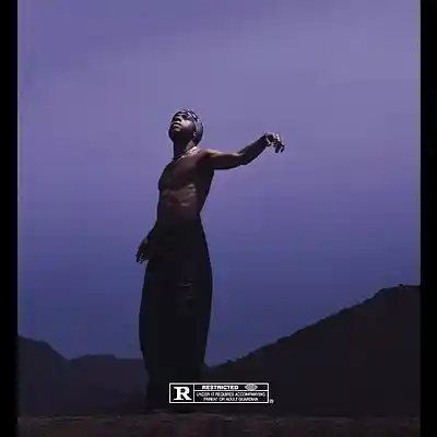 Picture for song 'Lost Signals' by artist 'IceDavid Beats'