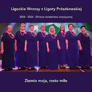 Picture for song 'Wiosna w sercu' by artist 'Ligockie Wrzosy z Ligoty Proszkowskiej'