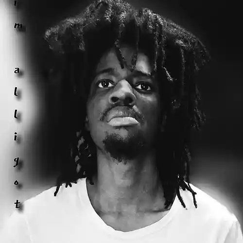 Artist picture