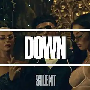 Picture for song '"DOWN" R&B Drill x Fivio Foreign Type Beat' by artist 'Silent The Producer'