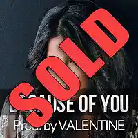 Picture for song '*Radio* Because Of You | !SOLD!' by artist 'Valentine Beatz'