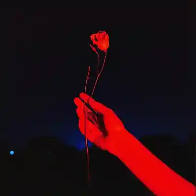 Picture for song 'SOLD / Perfect Night (Dark RnB x Bryson Tiller)' by artist '808 Waves'