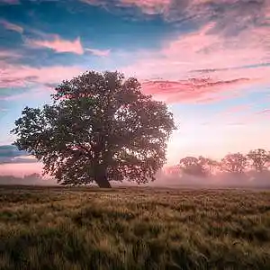 Picture for song 'ease' by artist 'abiliphy'