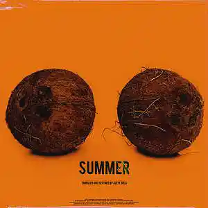 Picture for song 'SUMMER' by artist 'Alexx Melo'