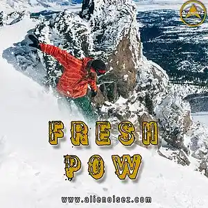 Picture for song 'Fresh Pow' by artist 'Alienoisez Beats'
