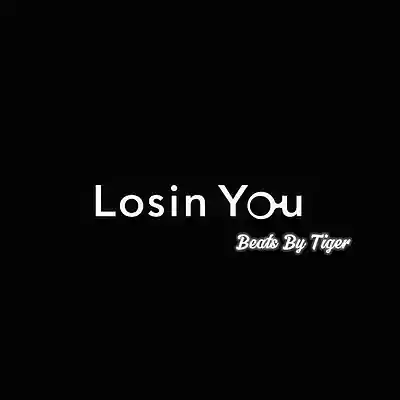 Picture for song 'Losin You' by artist 'Beats By Tiger'