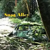 Picture for song 'SNAG ALLEY - Anytime at All' by artist 'Coquitlamgreg'
