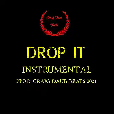 Picture for song 'Drop It 2021 Lil Wayne Type Beat 140bpm' by artist 'Craig Daub Beats'