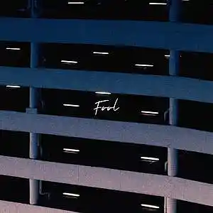 Picture for song 'Fool' by artist 'Dominic Donner'