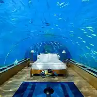 Picture for song 'LoveDiving (prod. by Royal Muzic) **SEXY**/FREEDL' by artist 'Exclusive Music Producer'