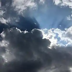 Picture for song 'The Wind In My Sails' by artist 'Leonard Scaper'