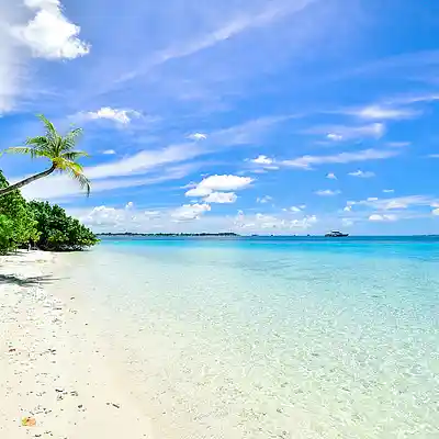 Picture for song 'Ocean Breeze' by artist 'Monmedia'