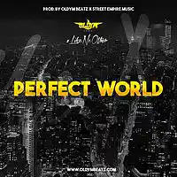 Picture for song '*New* Perfect World OldyM x StreetEmpire Free DL' by artist 'OldyMBeatz'