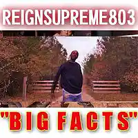Picture for song 'BIG FACTS Reign Supreme 803' by artist 'Reign Supreme 803'