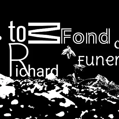 Picture for song 'Bulletproof' by artist 'toMRichard'