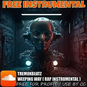 Picture for song 'TremoxBeatz - WEEPING WAY [2024 Free BEAT + DL / U' by artist 'TremoxBeatz'