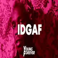 Picture for song 'IDGAF (Prod. By Young Forever)' by artist 'Young Forever Beats'