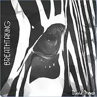 Picture for song 'As It Was Before' by artist 'David Maeso'