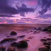 Picture for song 'SAD TRAP BEAT ** ANOTHER DAY **' by artist 'DaYellBeatZ'