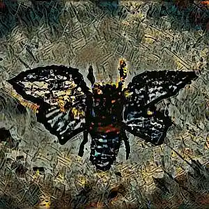 Picture for song 'No estoy solo' by artist 'MarvinChiriguaya'