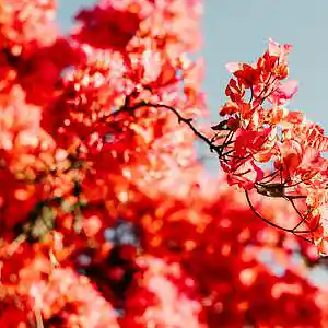 Picture for song 'Long Drive' by artist 'P.R Beats'