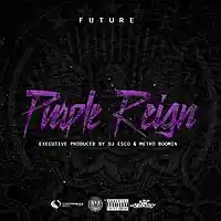 Picture for song 'Purple Reign' by artist 'STRONG SYMPHONY'
