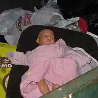 Picture for song 'Rag Doll' by artist 'dave musselman'