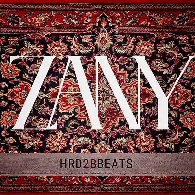 Picture for song 'Zany' by artist 'HRD2BBEATS'